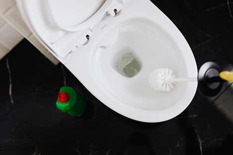 Person cleaning toilet bowl with the toilet brush and chemicals.