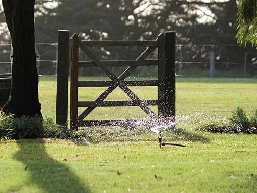 Watering the lawn with a sprinkler during the day.