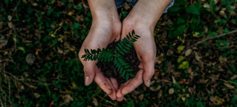 A person holding some dirt with a plant in it in their hands.