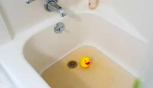 Steps to Take When Sewage Backs Up Into Your Bathtub