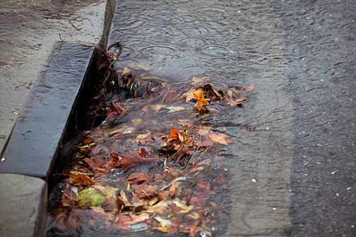 a blocked storm drain in chicago