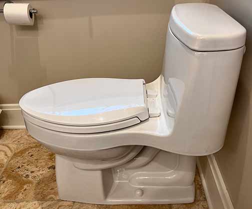 how to fix common toilet problems.