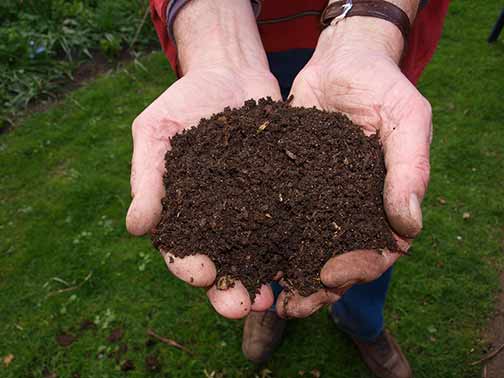 composting coffee grounds is an alternative to putting in sink drains.
