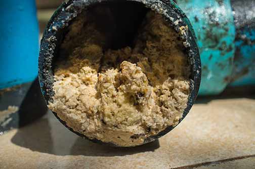 Why Grease and Organic Waste Are Your Plumbing's Worst Enemies