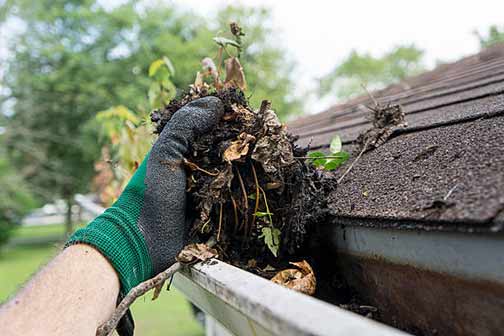 a man cleaning out his gutter at the end of summer.