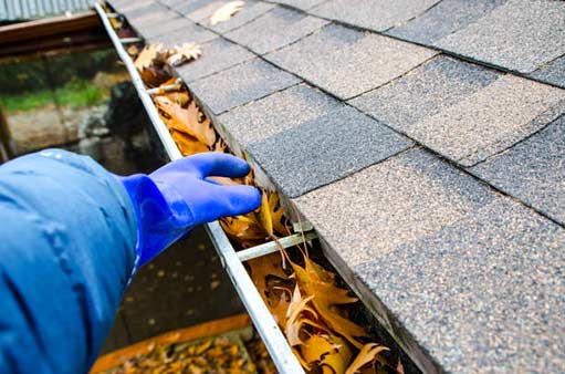 gutter cleaning is a good way to prevent water damage in your burbank home.