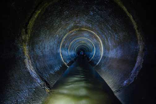 find out if your sewer line is working properly.