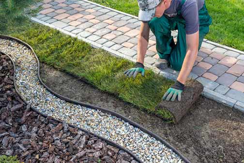 a person doing to some strategic landscaping