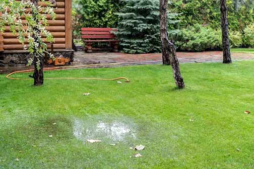 a yard with outdoor drainage issues.