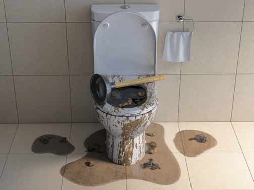 Toilet Overflows