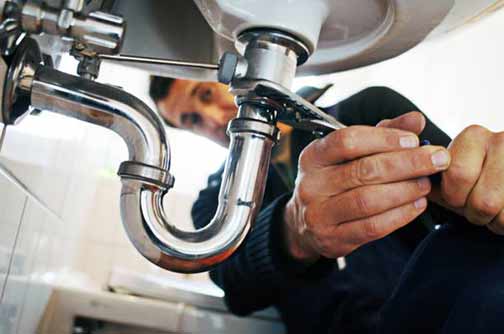 a plumber cleaning drain to help rid of a fruit fly problem.