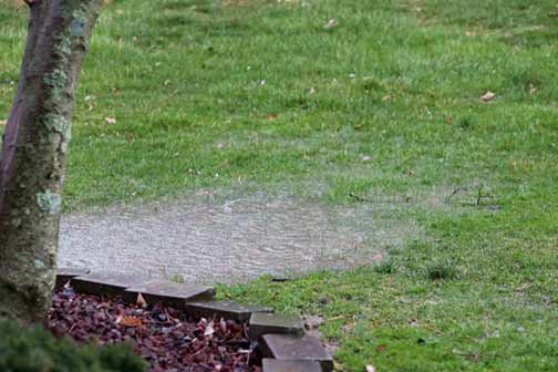 a lawn with poor outdoor drainage.