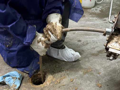 sewer line rodding in broadview.