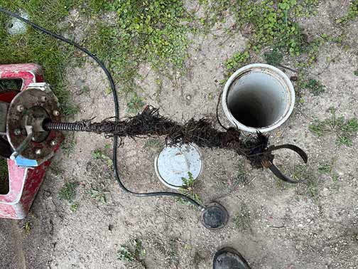 sewer line rodding service in naperville.