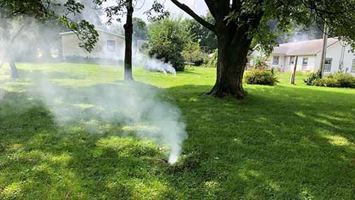 a sewer line smoke testing taking place.