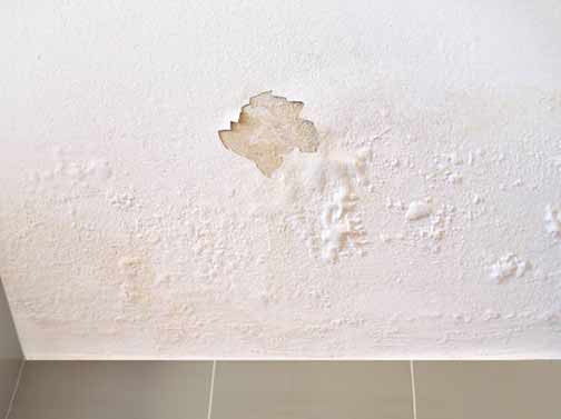 a shower leak behind a wall