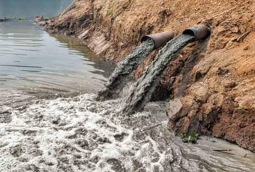 wasting water has a negative impact on the environment.