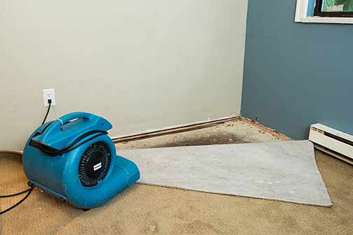 professional water damage restoration